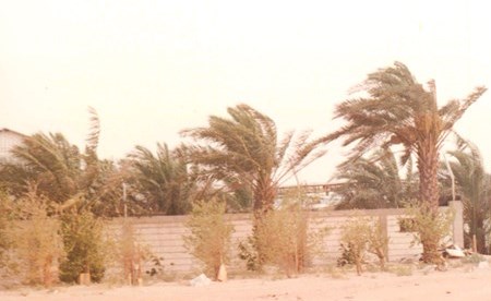 وصف الصورة