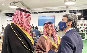 وصف الصورة
