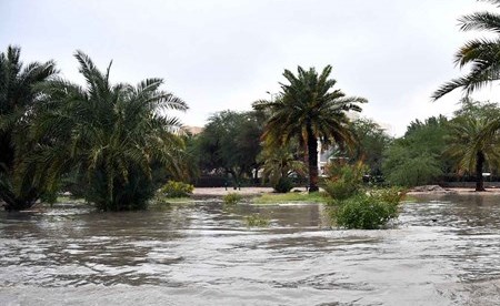 وصف الصورة