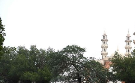 وصف الصورة