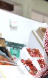 وصف الصورة